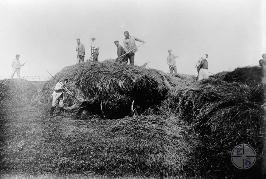 Neue jüdische Ansiedler, Ukraine, Mitte der 1920er Jahre (aus der Fotosammlung des Archivs von World ORT - https://en.wikipedia.org/wiki/World_ORT)